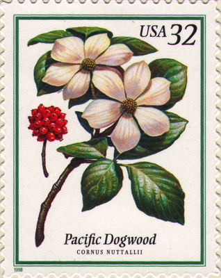 Briefmarke: Nuttalls Blumen-Hartriegel, USA, 1998