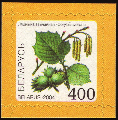 Gewöhnliche Haselnuss auf Briefmarke, Weißrussland, 2004