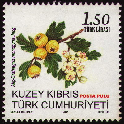 Eingriffliger Weißdorn auf Briefmarke, Türkei (Nord-Zypern), 2011