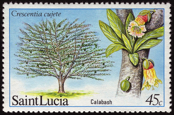 Briefmarke: Kalebassenbaum, St. Lucia, 1984