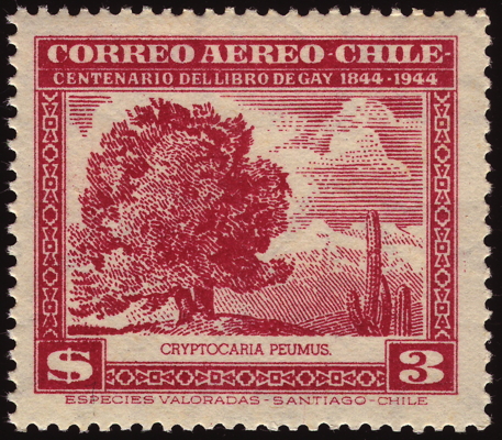 Briefmarke: Peumo, Chile, 1948