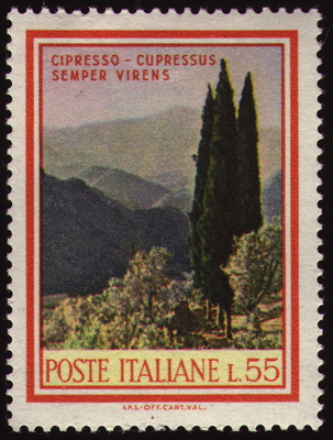 Briefmarke: Echte Zypresse, Mittelmeerzypresse, Italien, 1968