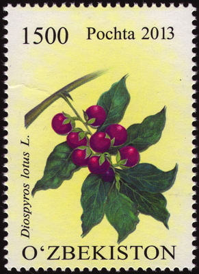 Briefmarke: Lotuspflaume, Usbekistan, 2013