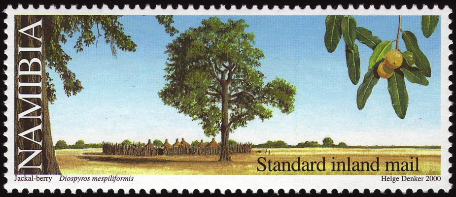 Briefmarke: Schakalbeere, Naminbia, 2000