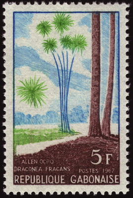 Briefmarke: Duftender Drachenbaum, Gabun, 1967