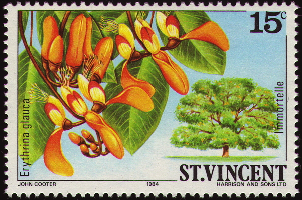 Briefmarke: Purpur-Korallenbaum, Saint Vincent, 1984