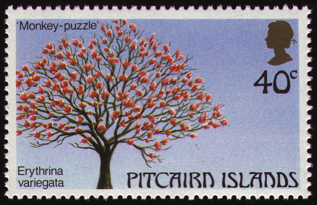 Briefmarke: Indischer Korallenbaum, Pitcairninseln, 1987