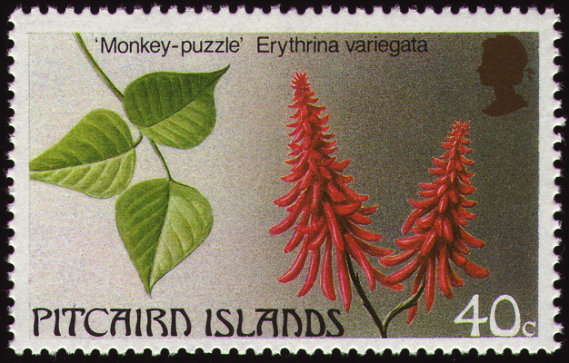 Briefmarke: Indischer Korallenbaum, Pitcairninseln, 1987