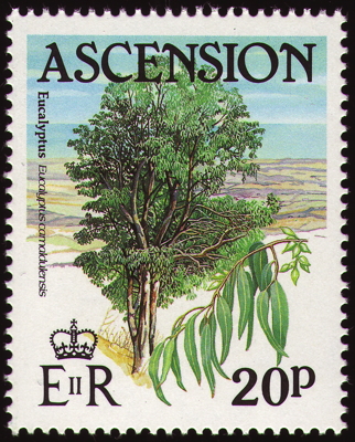 Briefmarke: Roter Eukalyptus, Ascension, 1997
