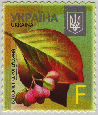 Briefmarke: Spindelstrauch, Gewöhnlicher, Ukraine, 2015