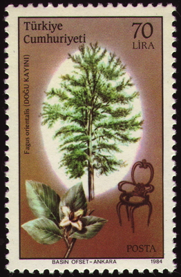 Briefmarke: Orient-Buche, Türkei, 1984