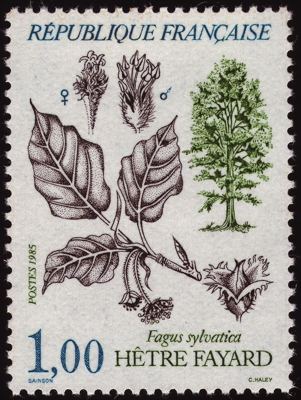 Briefmarke: Rot-Buche, Frankreich, 1985