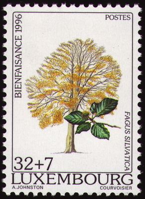 Briefmarke: Rot-Buche, Luxembourg, 1996