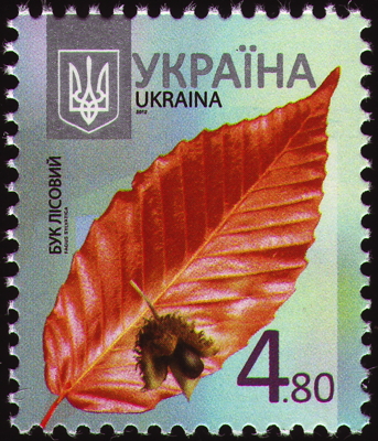 Rot-Buche auf Briefmarke, Ukraine, 2012