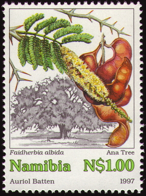 Briefmarke: Anabaum, Namibia, 1997