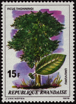 Briefmarke: Strangler Fig, Ruanda, 1979
