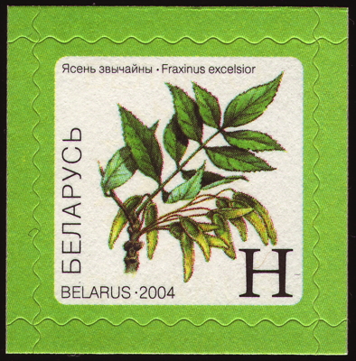 Gewöhnliche Esche auf Briefmarke, Weißrussland, 2004