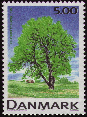 Gewöhnliche Esche auf Briefmarke, Dänemark, 1999