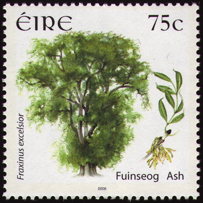 Gewöhnliche Esche auf Briefmarke, Irland, 2006 