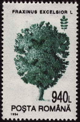 Gewöhnliche Esche auf Briefmarke, Rumänien, 1994 