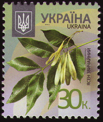 Gewöhnliche Esche auf Briefmarke, Ukraine, 2012 