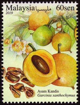 Briefmarke: Gelbe Manogostane, Malaysia, 2019