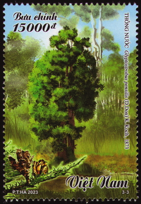 Briefmarke: Chinazypresse | Wasserfichte, Vietnam, 2023