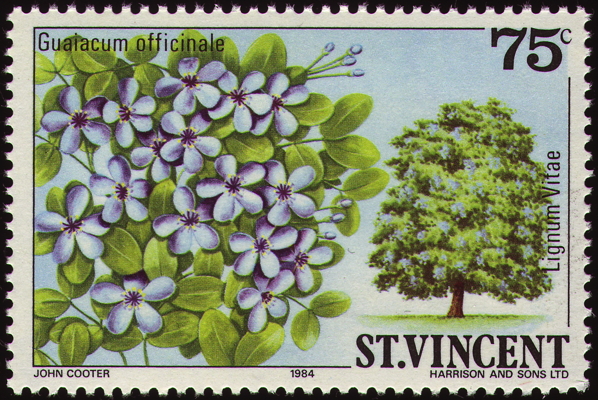 Briefmarke: Guajakbaum, Saint Vincent, 1984