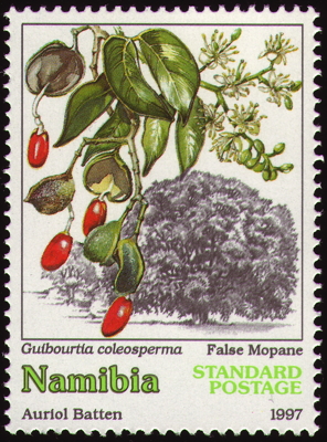 Briefmarke: Rhodesian Teak, Namibia, 1997