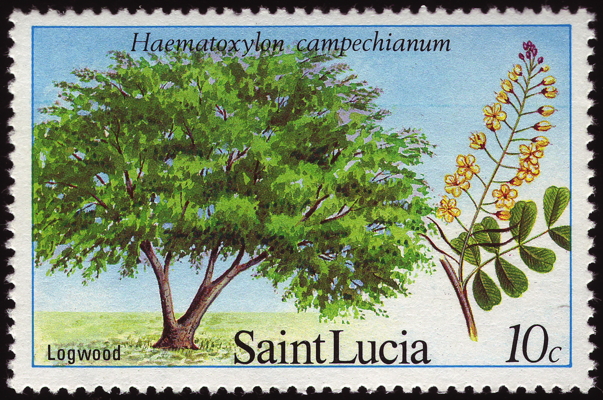 Briefmarke: Blutholzbaum, St. Lucia, 1984