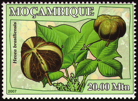Briefmarke: Kautschukbaum, Mosambik, 2007