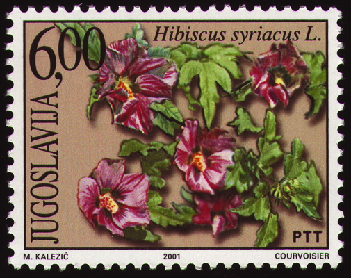 Strauch-Eibisch auf Briefmarke, Jugoslawien, 2001