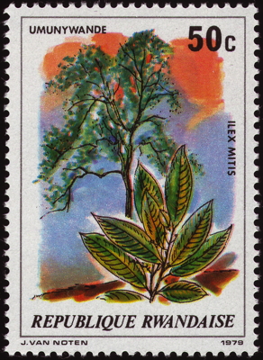 Briefmarke: Cape Holly, Ruanda, 1979