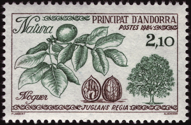 Echte Walnuss  auf Briefmarke, Andorra, 1984