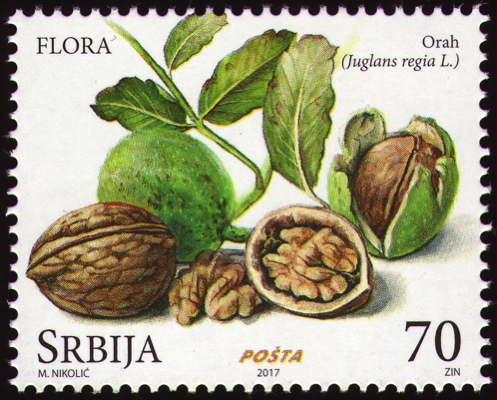 Briefmarke: Echte Walnuss, Serbien, 2017