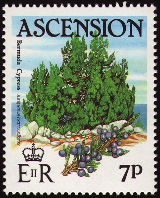 Briefmarke: Bermuda-Wacholder, Ascension, 1985