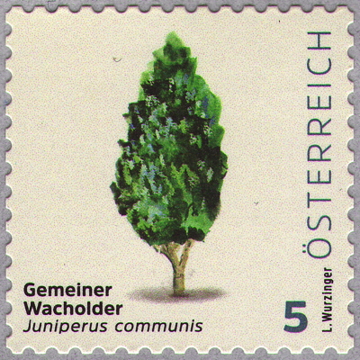 Briefmarke: Gewöhnlicher Wacholder, Österreich, 2025