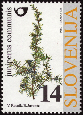 Briefmarke: Gewöhnlicher Wacholder, Slowenien, 1998