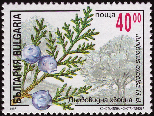 Briefmarke: Griechischer Wacholder, Bulgarien, 1996