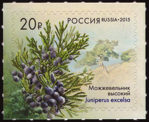 Briefmarke: Griechischer Wacholder, Russland, 2015