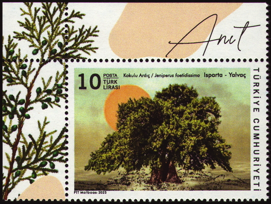 Briefmarke: Stinkender Baum-Wacholder, Türkei, 2023