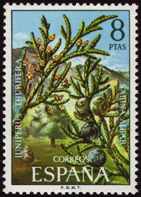 Briefmarke: Spanischer Wacholder, Spanien, 1972