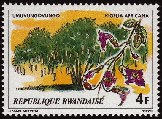 Briefmarke: Leberwurstbaum, Ruanda, 1979