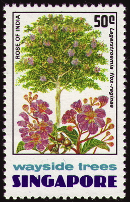 Briefmarke: Königinblume, Singapur, 1976