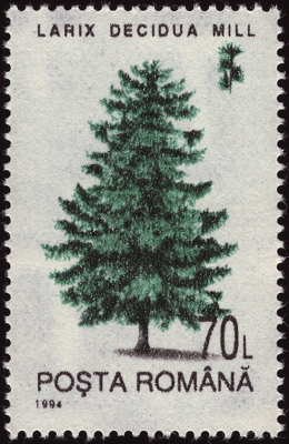 Briefmarke: Europäische Lärche, Rumänien, 1994