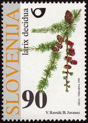 Briefmarke: Europäische Lärche, Slowenien, 1998