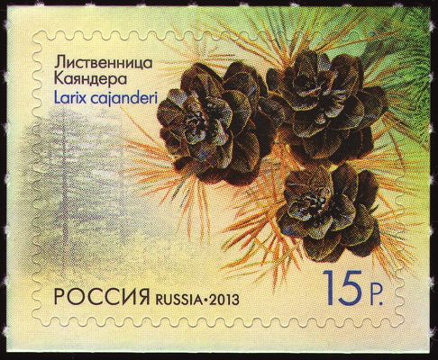 Briefmarke: Dahurische Lärche, Russland, 2013