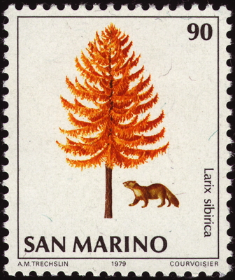 Briefmarke: Sibirische Lärche, San Marino, 1979