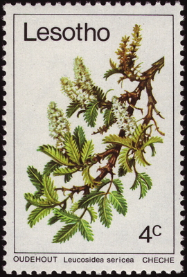 Briefmarke: Oldwood, Lesotho, 1979