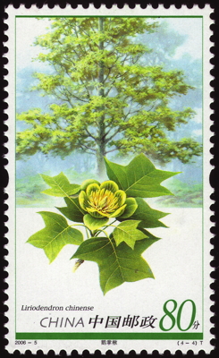 Briefmarke: Chinesischer Tulpenbaum, China, 2006